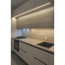 Прямая линейная кухня с фасадами из ЛДСП, модель KUH-20